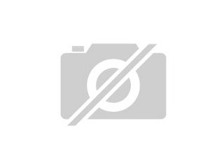 Suche Eichhörnchen-Paar blutsfremd aus gene